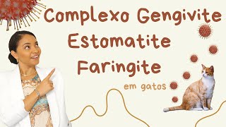 COMPLEXO GENGIVITE ESTOMATITE FARINGITE EM GATOS [upl. by Merlin]