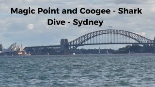 Magic Point and Coogee  Shark Dive June 2024  Sydney  Australia [upl. by Nilhtac]