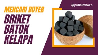 Tutorial Mencari Buyer Briket Batok Kelapa tutorial ekspor trademap [upl. by Usanis]