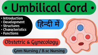 Umbilical Cord In Hindi  Obstetrics And Gynecology Nursing [upl. by Auj668]