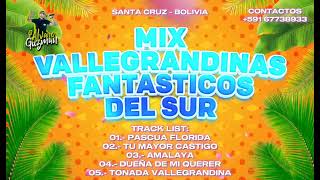 MIX VALLEGRANDINAS FANTASTICOS DEL SUR [upl. by Fry]