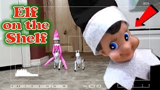 Elf on the Shelf Caught on Camera Every Clip in one Video Trinity and Beyond [upl. by Dusen837]