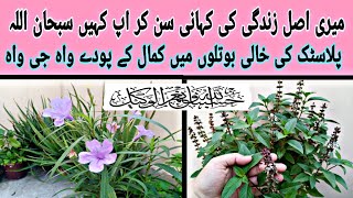 Real Story Of Life  My Rooftop Gardening  Everything Is Possible For Allah PRIMEGlobalpk [upl. by Elmore233]