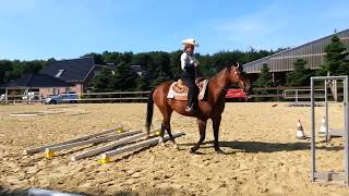 5 Platz im Trail für Nicola und Painthorse Fancy  LK 2 EWU Hünxe 2016  reiten Pferd Westernreiten [upl. by Meijer]