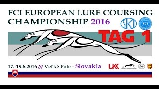 FCI European Lure Coursing Championship 2016  Day 1 [upl. by Ecinnahs]