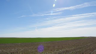 Van Mark Farms  Soil Management on Wyoming Farms and Ranches [upl. by Avehstab159]