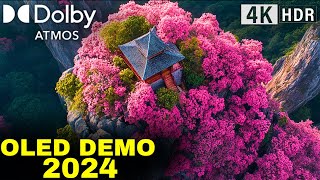 Experience 2025s FUTURE of 4K 60FPS HDR Dolby Vision NOW [upl. by Eramal]