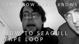 The Seagull Sound Effect from Tomorrow Never Knows [upl. by Kin]