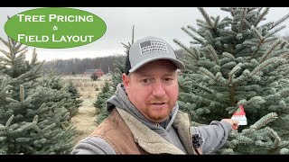 Evergreen Earnings Crafting a Successful Christmas Tree Farm Pricing and Layout Plan [upl. by Aryhs]