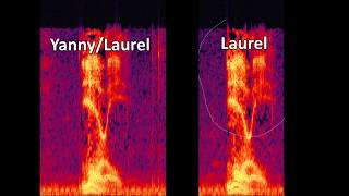 Yanny  Laurel  Removing HighLow Frequencies [upl. by Aleece]