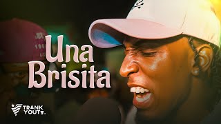 MC Albertico  UNA BRISITA 🌬️💨 Video Official [upl. by Rao]