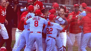 Benches Clear  St Cardinals Cardinals vs Cincinnati Reds [upl. by Onaicul884]