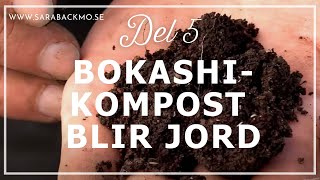 Bokashi del 5 Hur snabbt blir bokashikompost jord [upl. by Arah]