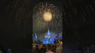 We Knew We Were in Disney World When This Happened [upl. by Shoshanna]