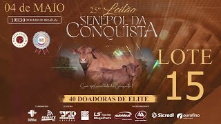 LOTE 15 CONQ 2389 [upl. by Anelec]