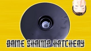 Greatest Brine Shrimp Hatchery Ever Product Review [upl. by Einttirb]