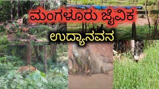 ನೀವು ಇವೆಲ್ಲಾ ನೋಡಿದ್ರೆ ಭಯ ಪಡೋದಂತು ನಿಜ😱😱 Mangalore Pilikula Udyanavana [upl. by Edyth298]