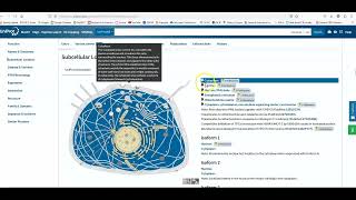 Uniprot Tutorial 3 [upl. by Minsat]