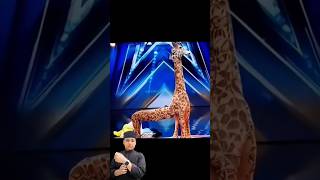 Amazing magic show 🤯 gottalent youtubeshorts shortvideo magic shorts [upl. by Teerprah]