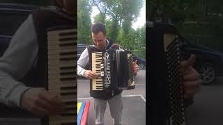 Итальянский аккордеон Mundinger Sonata Accordion [upl. by Lamoureux]