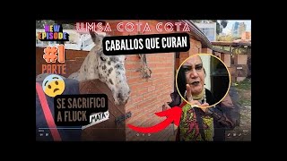 RADIODOCUMENTAL UMSA COTA COTA PARTE 1🔥🎙️MARIA GALINDO🔥🎙️SACRIFICARON AL CABALLO FLUCK [upl. by Ahsinrac]