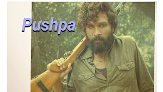 Pushpa  South Indian movies  Hindi dubbed alluarjun rashmikamandanna [upl. by Novar]