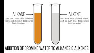 Testing For Alkane and Alkenes using Bromine water and Acidified Potassium Permanganate [upl. by Susann]