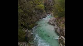 SLOFLYCOM Fly Fishing Slovenia Autumn dry fly [upl. by Gnuy385]