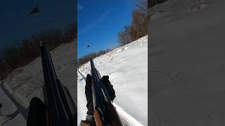 Chukar hunting slow motion wing shot Stoeger Condor over under 20 gauge shotgun [upl. by Doner]