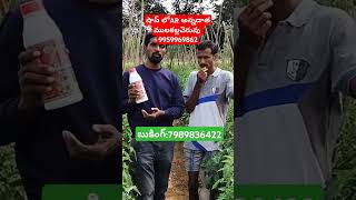 Takshana తక్షణ అని షాపులకి ఇవ్వలేము ఎందుకు అంటే Happy farmers with takshana result today [upl. by Gierk]