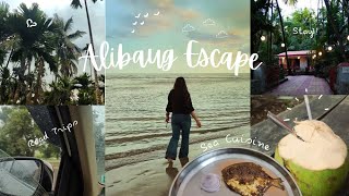 The Alibaug Escape  Aesthethic Travel Vlog 🌴🌊 [upl. by Ahsimot]