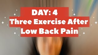 Day4quotTop 3 Exercises to Recover from Low Back Painquot physiotherapy 30daychallenge backpain [upl. by Skiest]