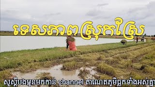 ទេសភាពស្រុកស្រែ ទាំងសប្បាយទាំងស្រណោះ សម្រស់ស្រុកស្រែ [upl. by Fasano]