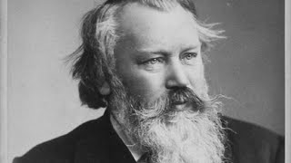 Johannes Brahms’ Violin Concerto 1st mvt  Played by 12 Different Virtuoso Violinists [upl. by Elinore]