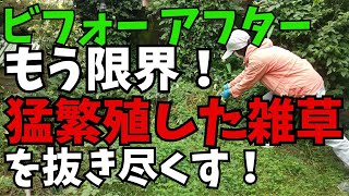 猛暑の夏に大繁殖した雑草を抜きまくり！／弟に退職勧告が来た！音声ナレーション入り。ひたすら雑草を抜きまくった動画と、原因不明の痺れで休職中の弟に「辞めてほしい」と所長さんから電話が来たお話です。 [upl. by Quintie878]