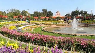 Beautiful Flowers and fountains of Mughal Garden at presidential palace 2018 New Delhi India [upl. by Ahsiuqat387]