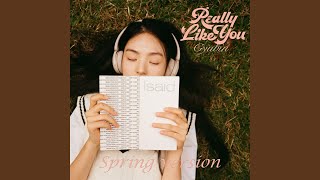 Really Like You English Spring Version [upl. by Tumer277]