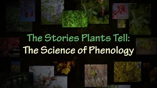 The Stories Plants Tell The Science of Phenology [upl. by Benildas]