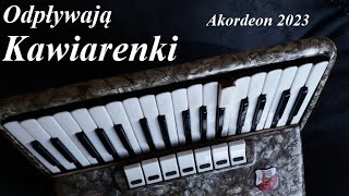 Odpływają Kawiarenki  Irena Jarocka Cover Biesiada Akordeon 2023 [upl. by Kipton512]