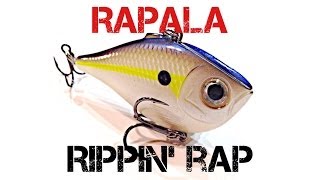 Lure Review Rapala Rippin Rap [upl. by Payson78]