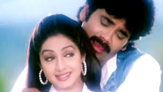 Jaanam Meri Jaanam  Sridevi Nagarjuna  Udit Narayan Alka Yagnik  Mr Bechara  Romantic Song [upl. by Schmidt154]