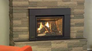 Regency Liberty L234 Small Gas Insert [upl. by Ilahsiav618]