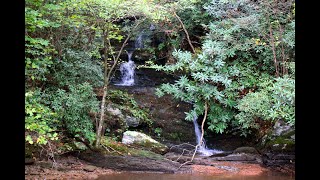 Chilhowee Cascade [upl. by Ahsian188]