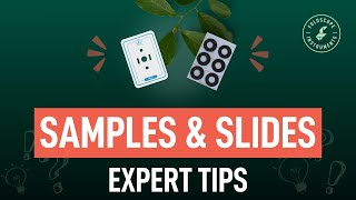 Foldscope 20  Samples amp Slides Expert Tips [upl. by Durstin]