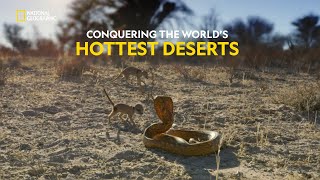 Survival in the Desert  Hostile Planet  हिंदी  S1  E4  Nat Geo Wild [upl. by Dlanod]