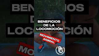 Beneficios de la locomoción el movimiento animal 🦍🐸🐊 [upl. by Shannan349]