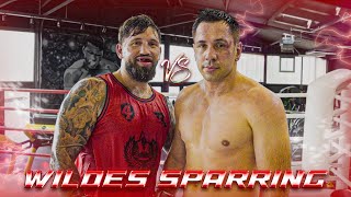 WILDES SPARRING mit SenatorAlb vs Felix Sturm [upl. by Essa]