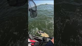 Poquoson Virginia PB Trout fishing [upl. by Aletsirc207]