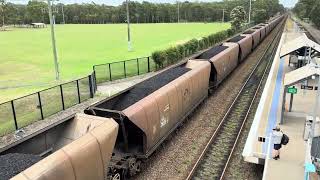 Aurizon 6041 6008 5004 WG352 Coal train Metford [upl. by Naoj650]