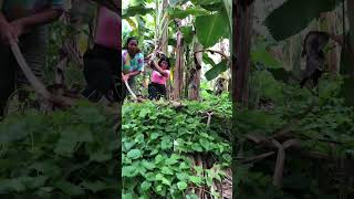 Nakakatakot talaga funny comedyph comedyfilms comedy pinoycomedy [upl. by Caylor]